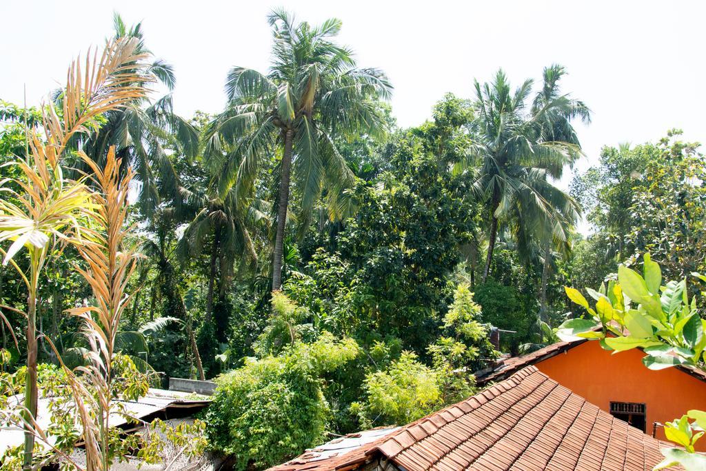 Garden Inn Mirissa Esterno foto