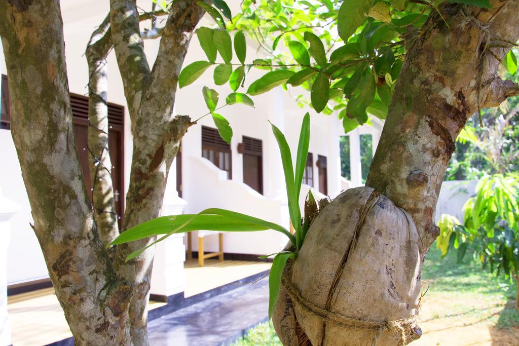 Garden Inn Mirissa Esterno foto