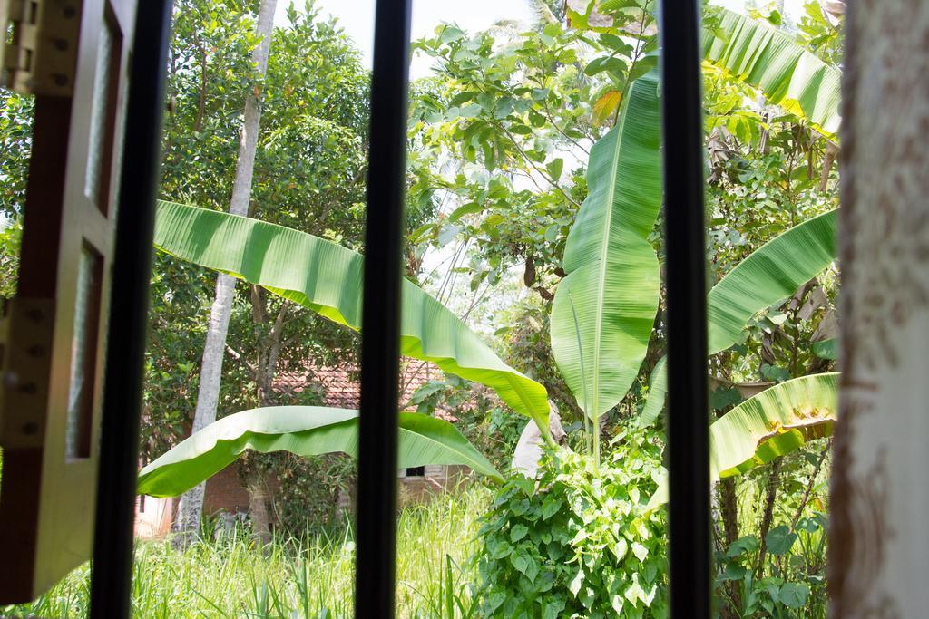Garden Inn Mirissa Esterno foto